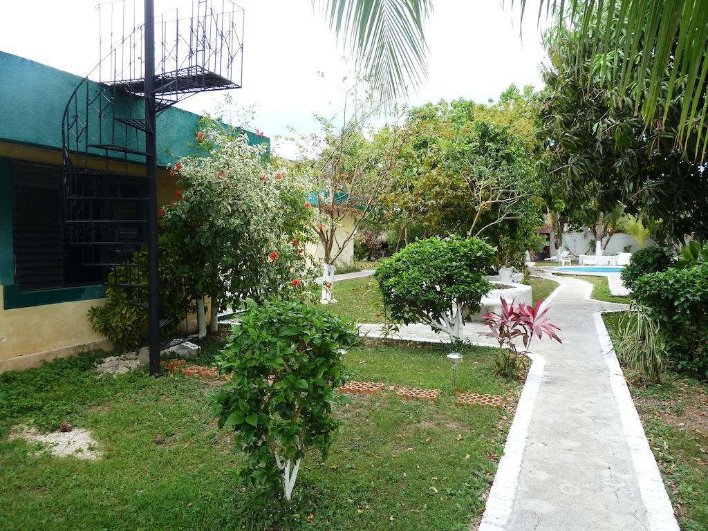 Amigos Hostel Cozumel Exteriér fotografie