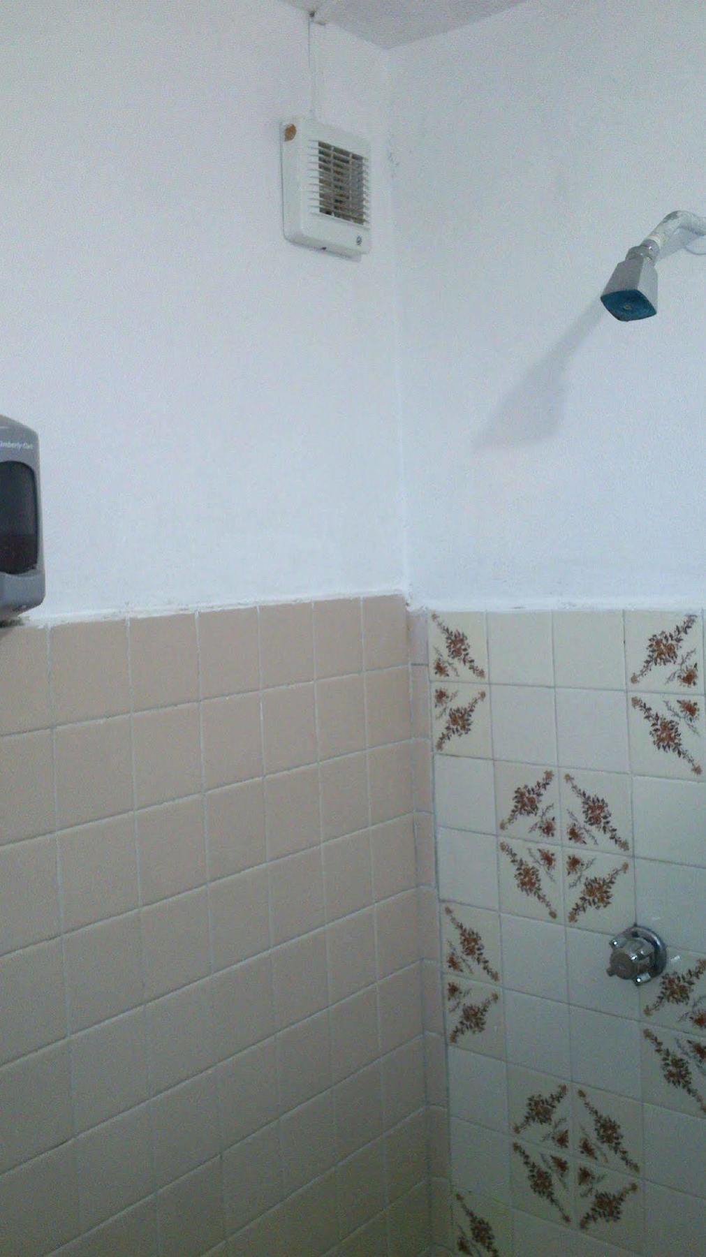 Amigos Hostel Cozumel Exteriér fotografie