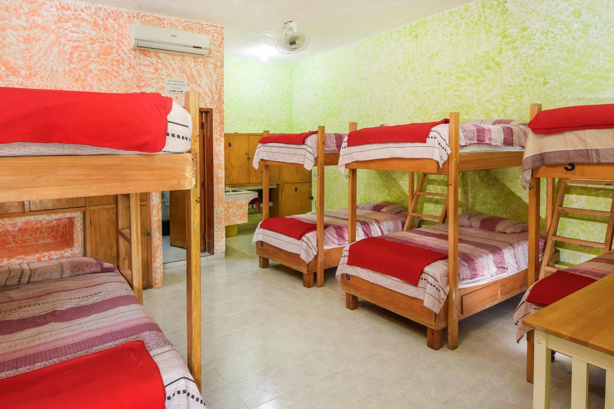 Amigos Hostel Cozumel Hostelové postele fotografie