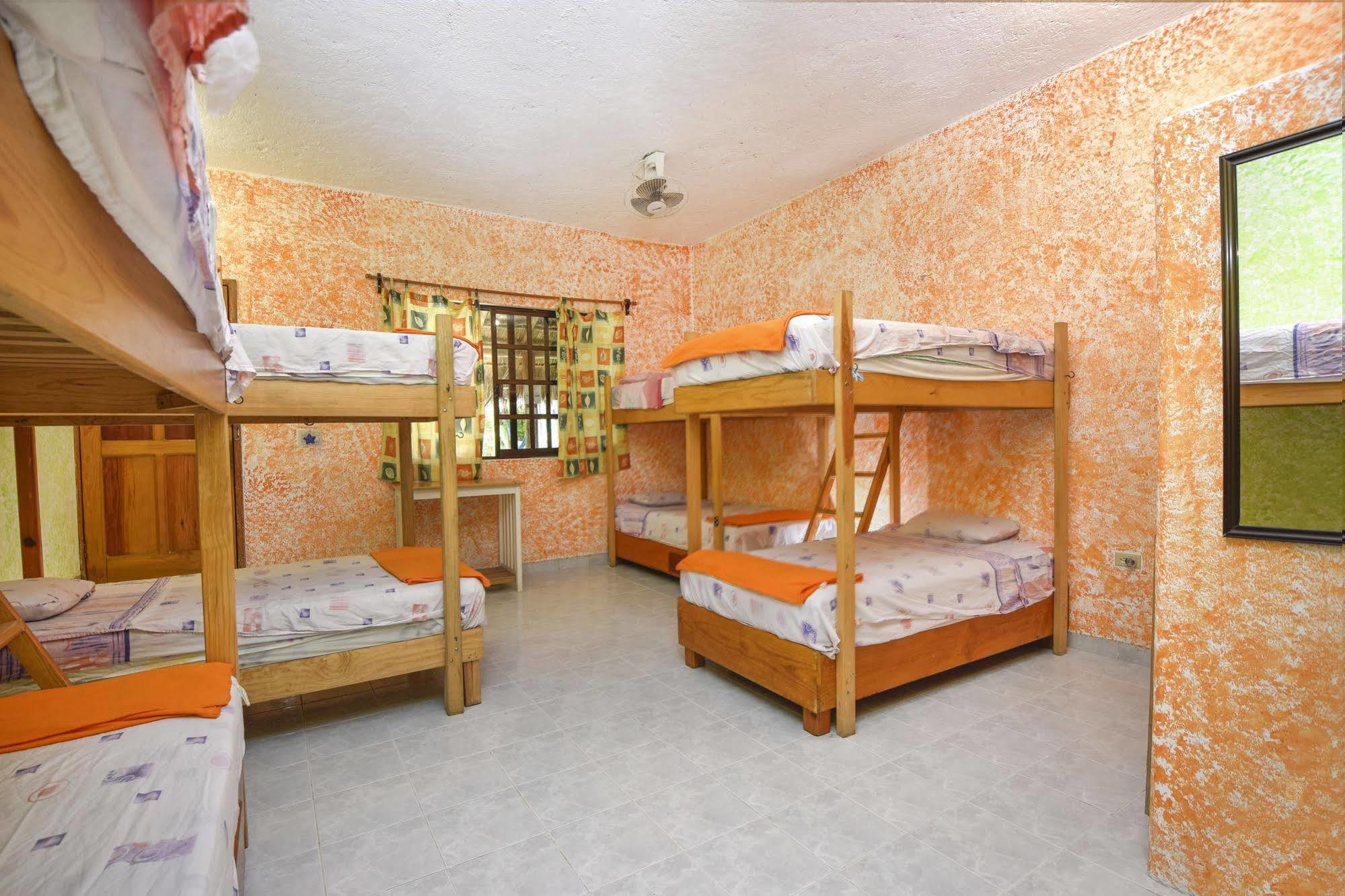 Amigos Hostel Cozumel Exteriér fotografie