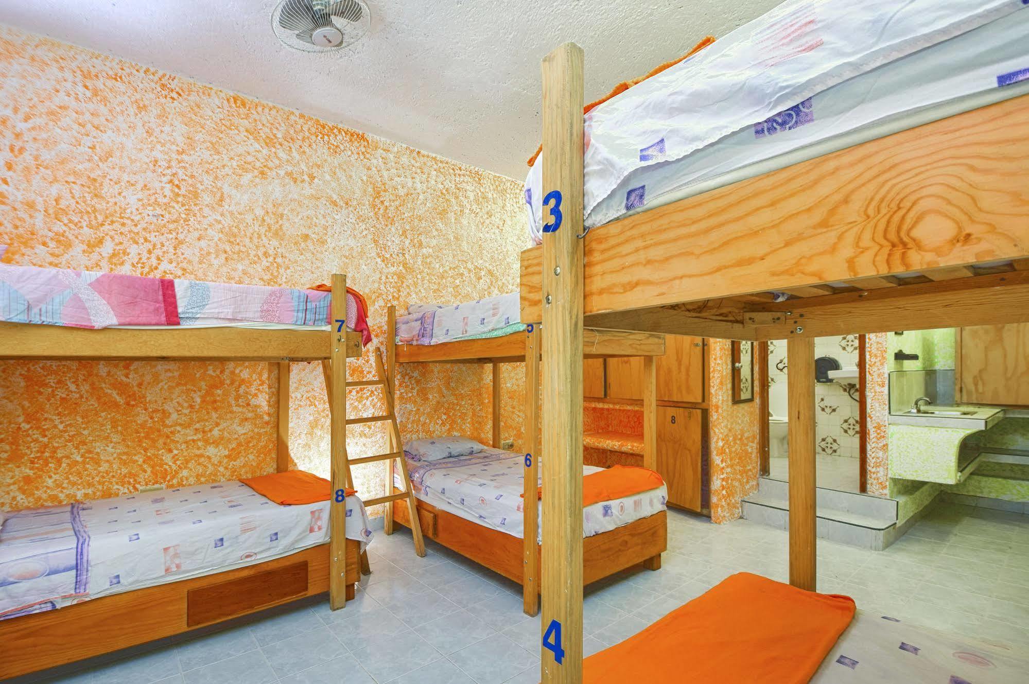 Amigos Hostel Cozumel Exteriér fotografie