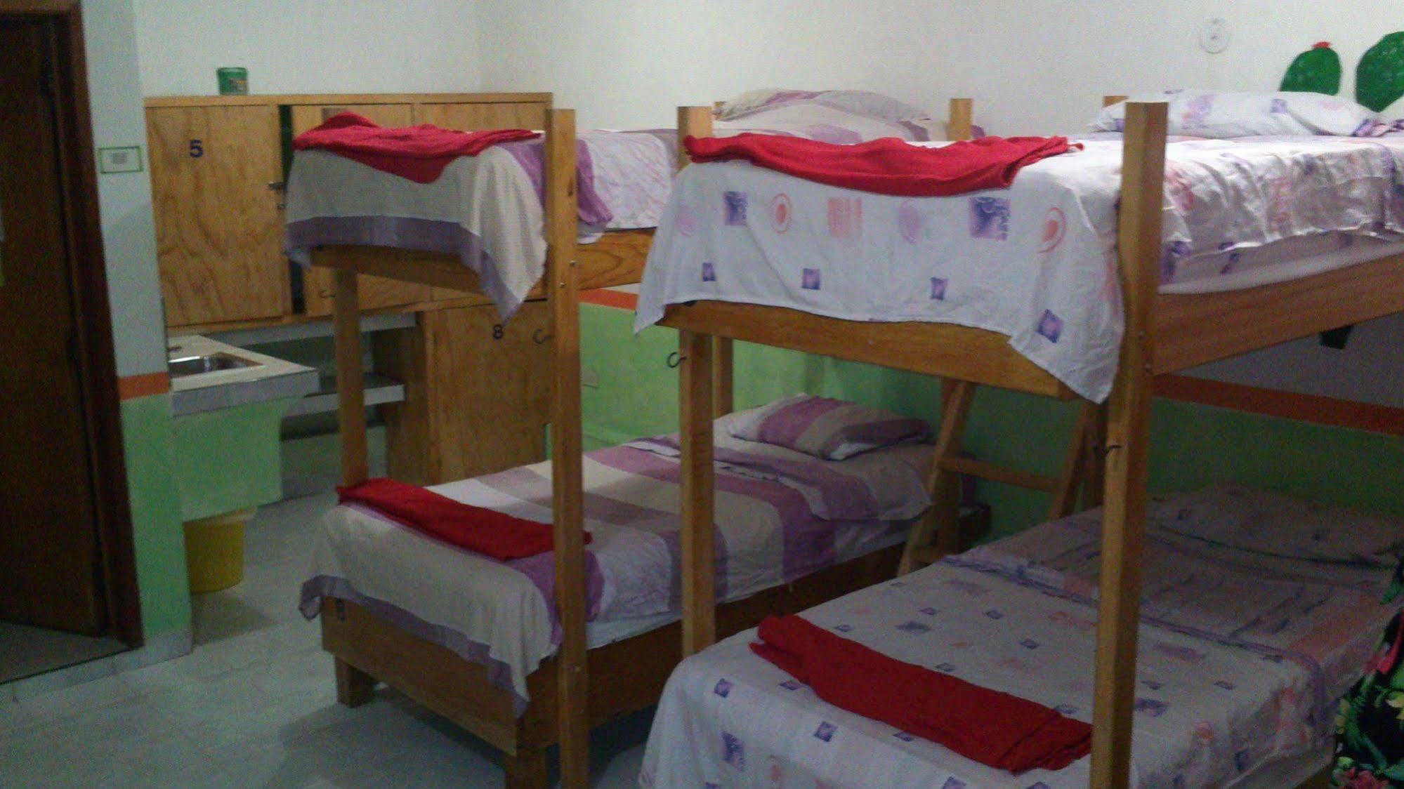 Amigos Hostel Cozumel Hostelové postele fotografie